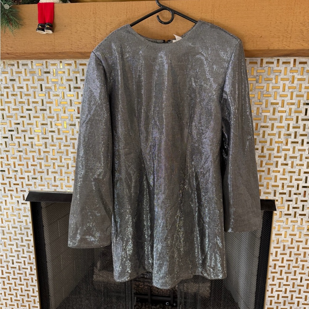 H&M Shimmering Silver Dress